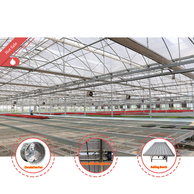Système d'ombrage automatique économique sur mesure Serres à fraises multi-span pour fruits et légumes