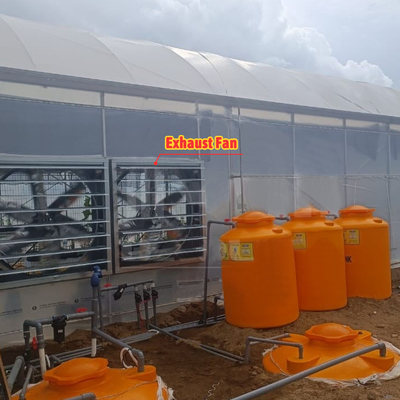 Serre agricole multifonctionnelle largeur de 6m à 12m avec film PE de 150/200 microns
