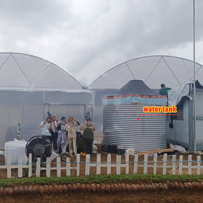 Serre agricole multifonctionnelle largeur de 6m à 12m avec film PE de 150/200 microns