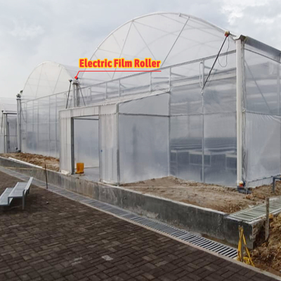 Serre agricole multifonctionnelle largeur de 6m à 12m avec film PE de 150/200 microns
