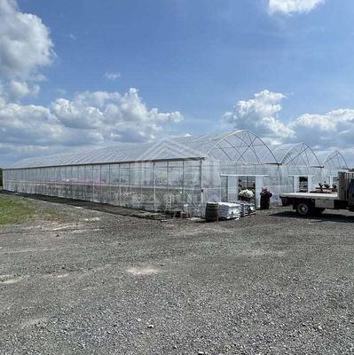 Serre en PE à grande étendue de 50 à 100 m Longueur 7 à 10 m Largeur