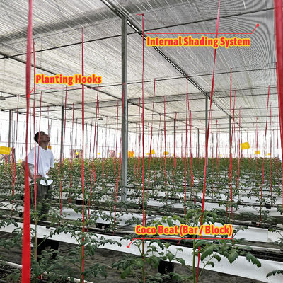 Serre à armature en acier galvanisé, portée de 6m à 12m, avec film PE 150/200 microns