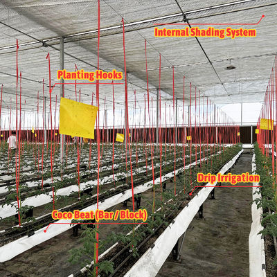 Serre à armature en acier galvanisé, portée de 6m à 12m, avec film PE 150/200 microns