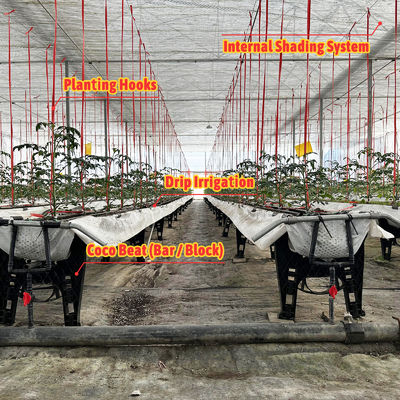 Serre à armature en acier galvanisé, portée de 6m à 12m, avec film PE 150/200 microns