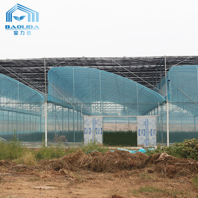 Kit de serre agricole multi-span 6m-12m avec garantie de 10 ans
