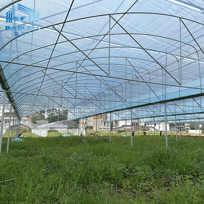 Kit de serre agricole multi-span 6m-12m avec garantie de 10 ans
