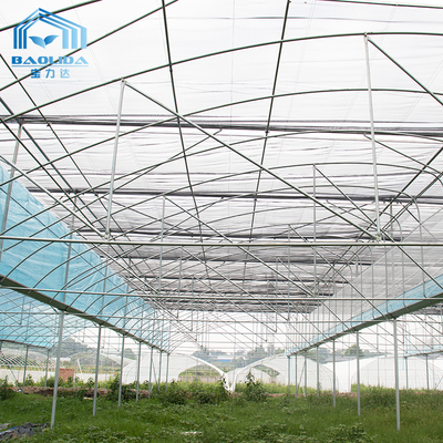 Kit de serre agricole multi-span 6m-12m avec garantie de 10 ans