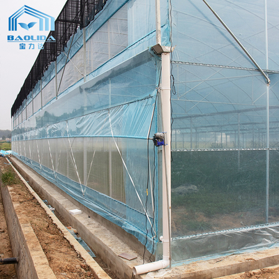 Kit de serre agricole multi-span 6m-12m avec garantie de 10 ans