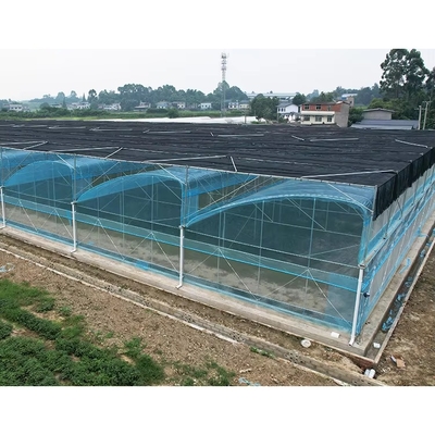 Kit de serre en PE à pellicule multi-span largeur de 6m à 12m Garantie de 10 ans