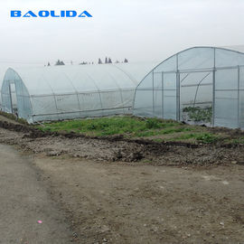 Hauts légumes de tunnel plantant la serre chaude végétale de feuille de plastique de tunnel d'envergure simple
