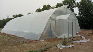 La serre chaude en acier galvanisée de film plastique d'immersion chaude élèvent la taille de tente adaptée aux besoins du client