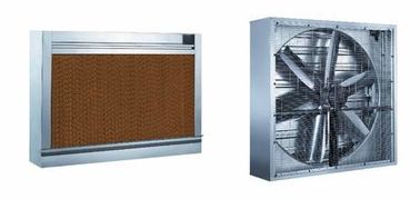 L'OEM disponible choisissent/le système de refroidissement d'envergure serre chaude négative multi de fans