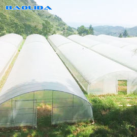 Bâche forte de polyéthylène de serre chaude de feuille de plastique de tunnel avec le système d'irrigation