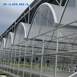 Grand matériel de lumière de tuyau d'acier de serre chaude de feuille de polycarbonate de hangar agricole