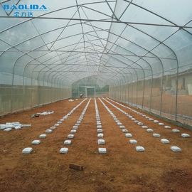 Serre chaude en plastique de tunnel tropical/serre chaude agricole adaptée aux besoins du client