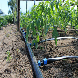 Système d'irrigation de serre chaude de ferme/circuit de refroidissement Polytunnel de pulvérisateur