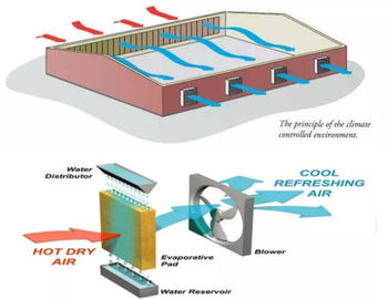 Système de refroidissement de serre chaude de Diy/système de refroidissement ISO9001 protection de serre chaude
