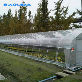 Serre chaude en plastique de tunnel d'envergure simple/poly agriculture protégeant du vent de serre chaude