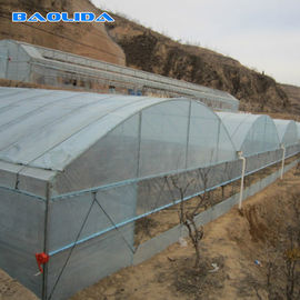 Serre chaude agricole de bâches en plastique avec le cadre en acier galvanisé à chaud