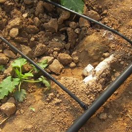 Système d'irrigation agricole de serre chaude d'équipement pour des légumes Diy