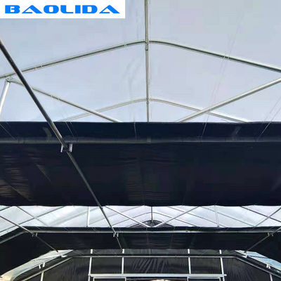 L'immersion chaude de serre chaude de privation de lumière de ventilation de côtés a galvanisé