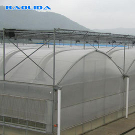 Culture en verre transparente d'usine de serre chaude de Multispan de tunnel