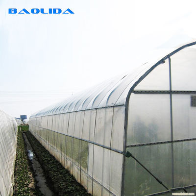 Tomates agricoles de serre chaude de film de pe de 200 microns élevant la serre chaude en plastique de tunnel
