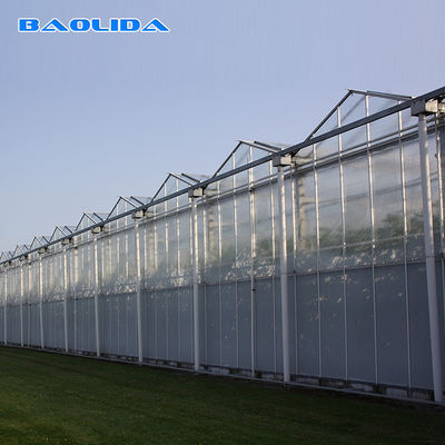 Serre chaude en verre de Venlo d'envergure multi d'agriculture pour la plantation de tomate