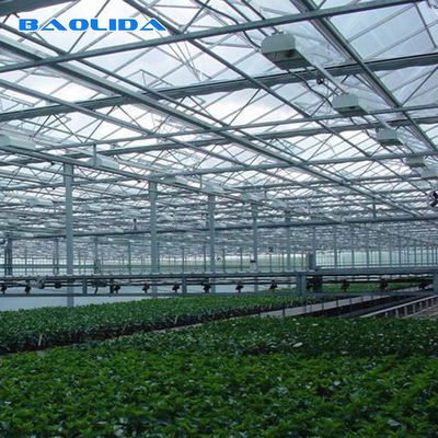 Serre chaude en verre de Venlo d'envergure multi d'agriculture pour la plantation de tomate