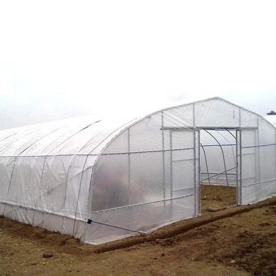 La serre chaude en plastique galvanisée de tunnel d'envergure simple a adapté la culture aux besoins du client de légumes