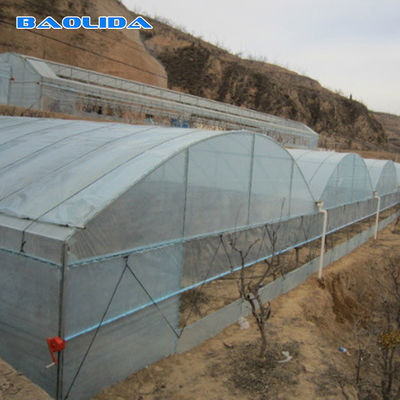 La serre chaude en plastique galvanisée de tunnel d'envergure simple a adapté la culture aux besoins du client de légumes