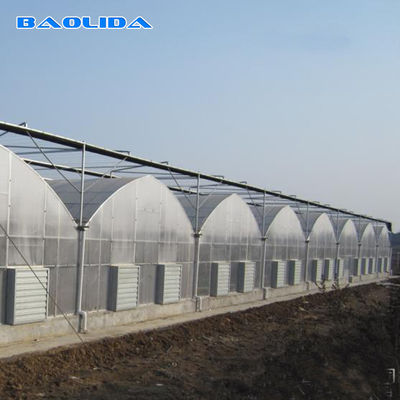 Usines d'agriculture élevant le système de refroidissement de serre chaude de Multispan avec la ventilation supérieure/côtés