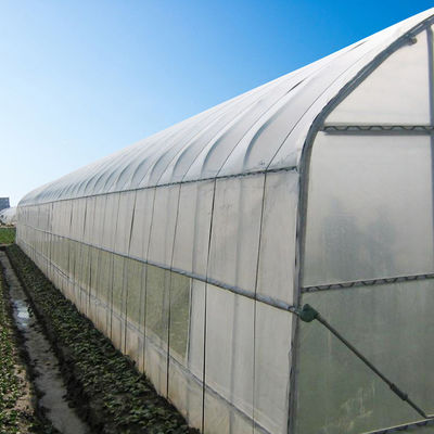 La largeur 8m 9m 10m percent un tunnel la serre chaude en plastique pour la culture de légumes