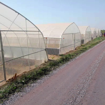 La largeur 8m 9m 10m percent un tunnel la serre chaude en plastique pour la culture de légumes