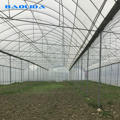 La tomate industrielle commerciale agricole de feuille de plastique élèvent la serre chaude multi d'envergure de micro du système 150