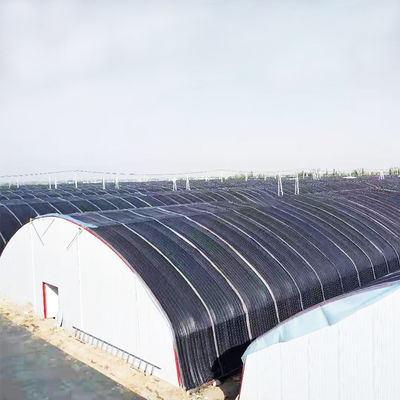 serre chaude légère hydroponique de privation de 10m*100m pour l'élevage de chanvre
