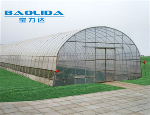 Feuille de plastique simple de serre chaude d'envergure de tunnel végétal agricole 150 microns