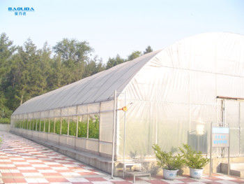 Feuille de plastique simple de serre chaude d'envergure de tunnel végétal agricole 150 microns