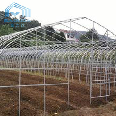 Envergure de Polytunnel Sri Lanka Colombo Steel Frame Greenhouse Single