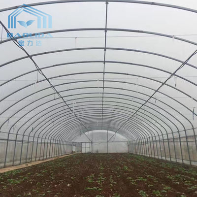 Agriculture de la serre chaude de tunnel de Singlespan avec l'irrigation et le système croissant hydroponique