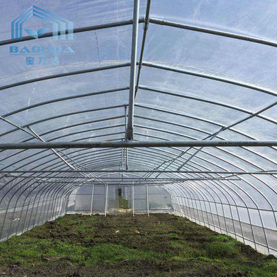 Agriculture de la serre chaude de tunnel de Singlespan avec l'irrigation et le système croissant hydroponique