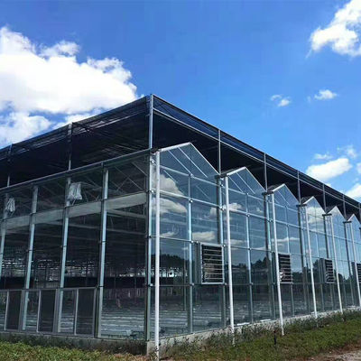 Type multi serre chaude de Venlo d'envergure de serre chaude en verre solaire de champignon de couverture d'hiver de jardin