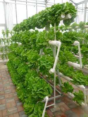 Un type système de culture hydroponique de tour pour la serre chaude d'agriculture