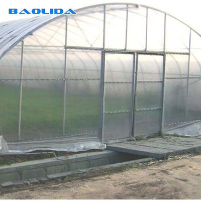 Serre chaude en plastique de pellicule de polyéthylène de serres chaudes de tunnel d'envergure simple pour l'agriculture de légumes