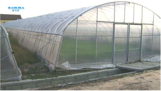 Serre chaude en plastique de pellicule de polyéthylène de serres chaudes de tunnel d'envergure simple pour l'agriculture de légumes