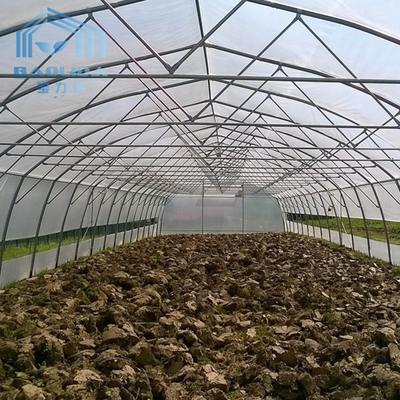 Serre chaude en plastique agricole de cercle de serre chaude de tunnel pour s'élever végétal