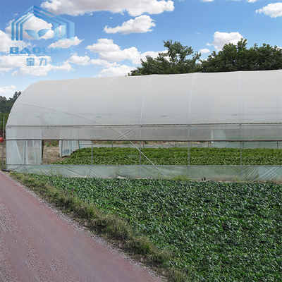 Serre chaude en plastique de poly tunnel agricole de serre chaude de tomate pour l'équipement d'irrigation par égouttement