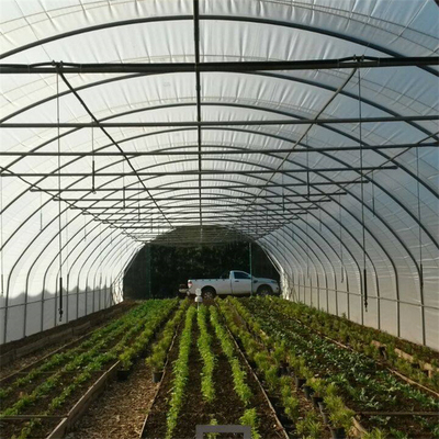Agriculture simple de serre chaude d'envergure en métal de tunnel hydroponique de cadre cultivant l'élevage