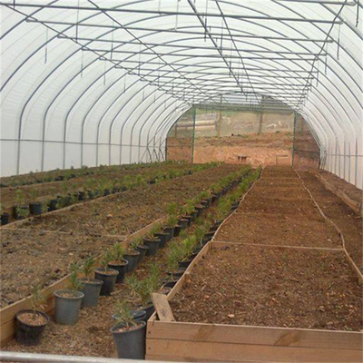 Agriculture simple de serre chaude d'envergure en métal de tunnel hydroponique de cadre cultivant l'élevage