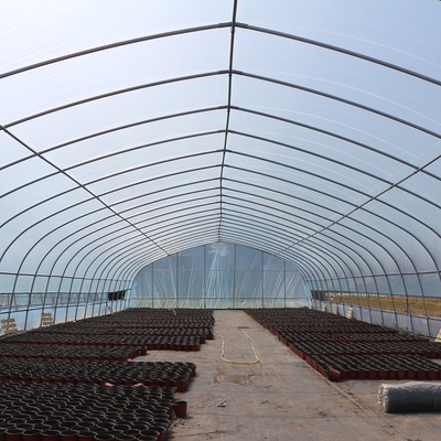 Feuille en plastique de tunnel standard classique de serre chaude couvrant la croissance végétale
